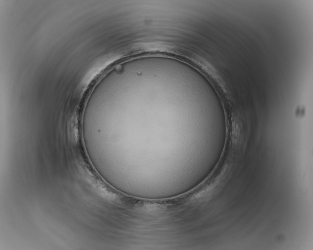 X0000112530782200908311422
