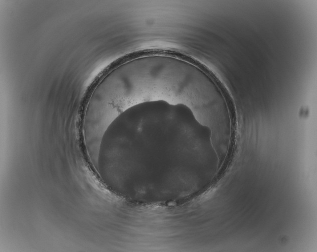 X0000112530783200908311422