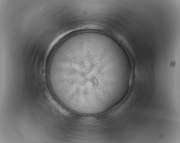 X0000112530784200908311422