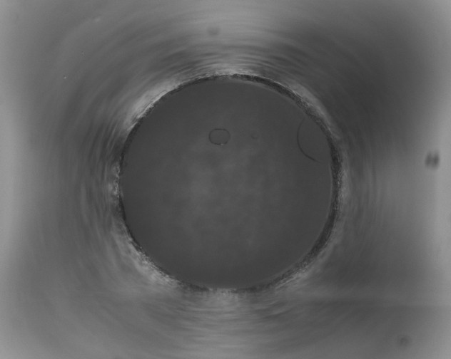 X0000112530785200908311422