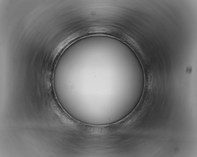 X0000112530786200908311422