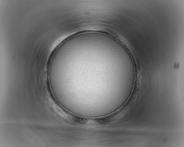 X0000112530787200908311422