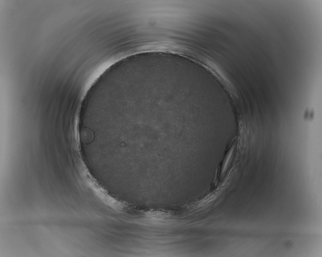 X0000112530788200908311422
