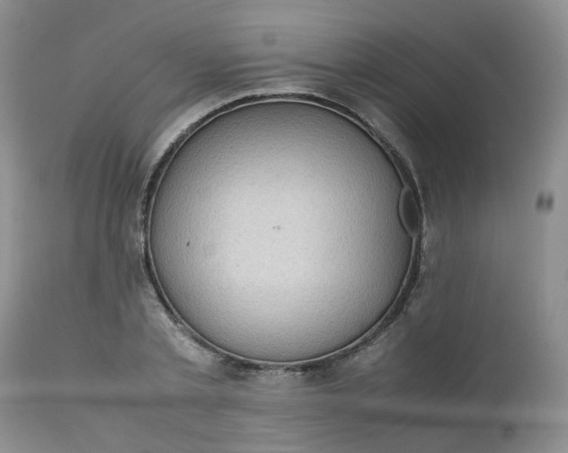X0000112530789200908311421