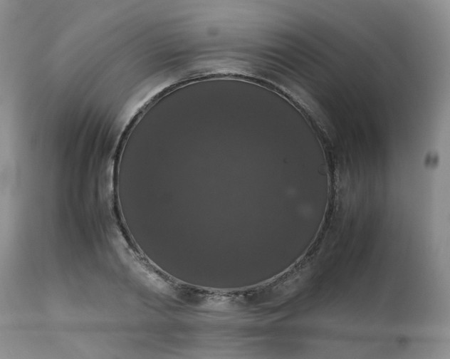 X0000112530790200908311421