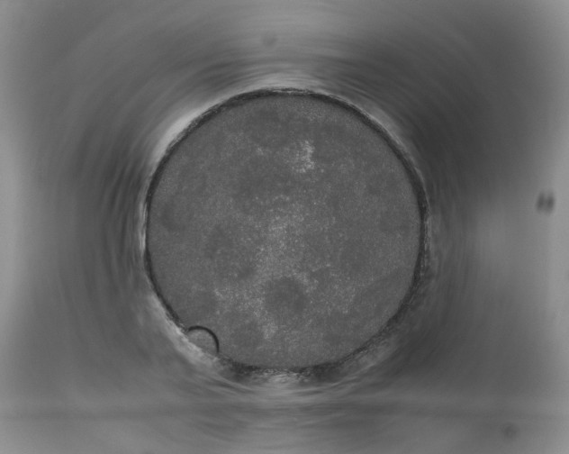X0000112530791200908311421