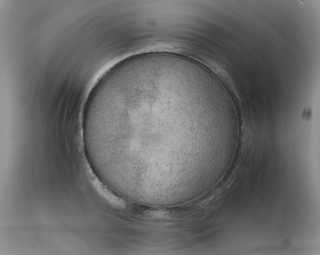 X0000112530792200908311421