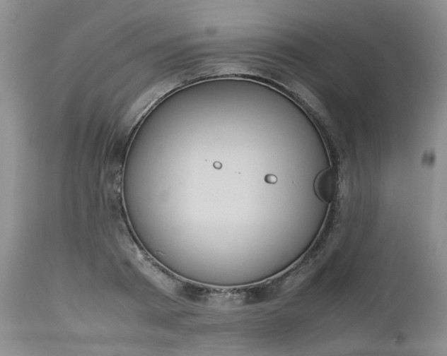 X0000112530793200908311421