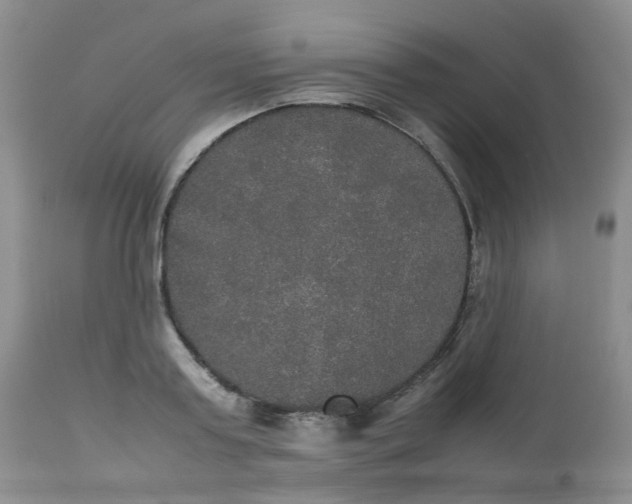 X0000112530795200908311421