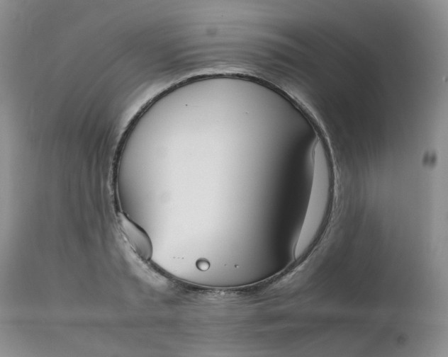 X0000112530797200908311421