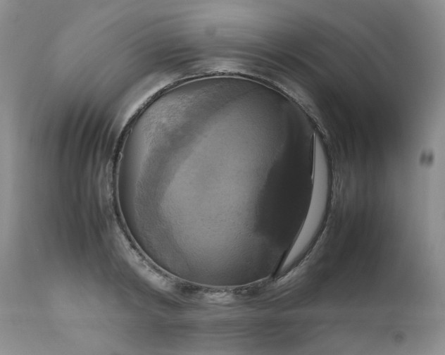 X0000112530798200908311421