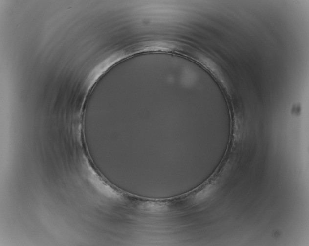 X0000112530802200908311421