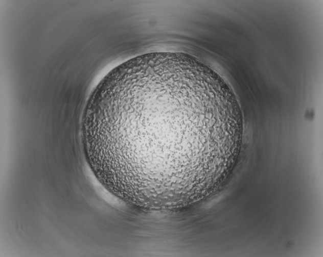 X0000112530803200908311421