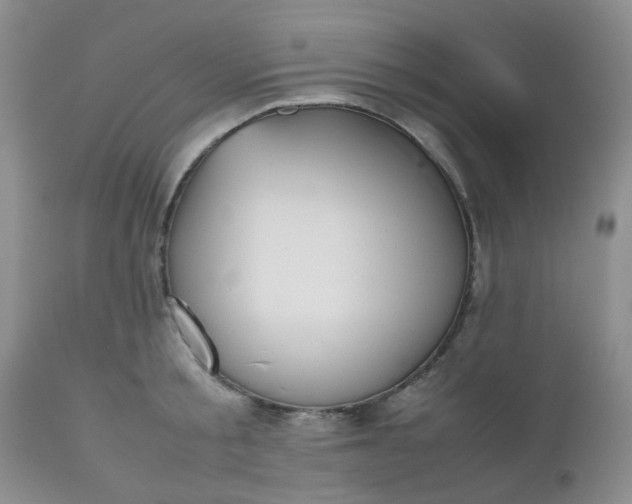 X0000112530805200908311421