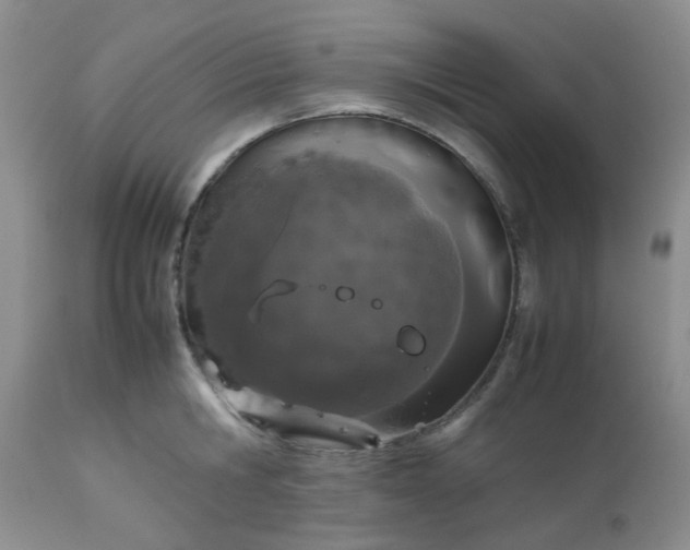 X0000112530806200908311421