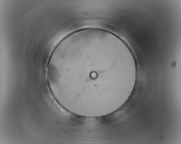 X0000112530807200908311421