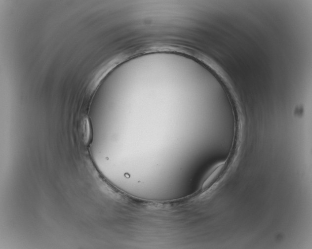 X0000112530809200908311421