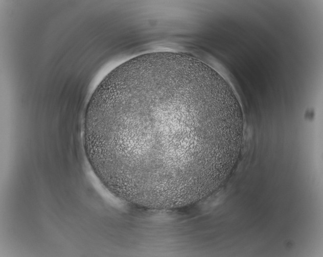 X0000112530811200908311421