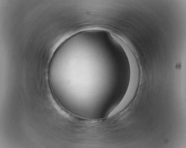 X0000112530813200908311421
