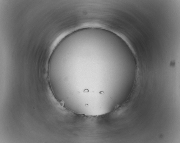 X0000112530815200908311421