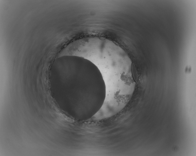 X0000112530817200908311420
