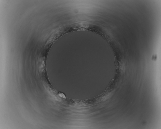 X0000112530818200908311420