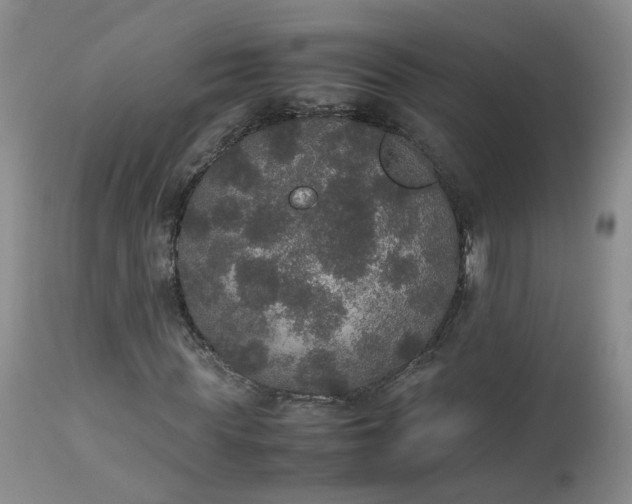 X0000112530819200908311420