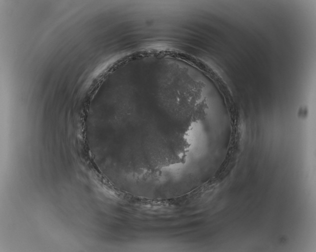 X0000112530823200908311420