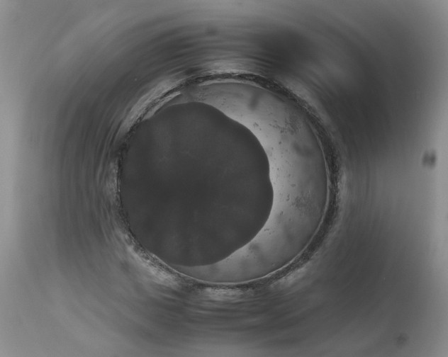 X0000112530825200908311420