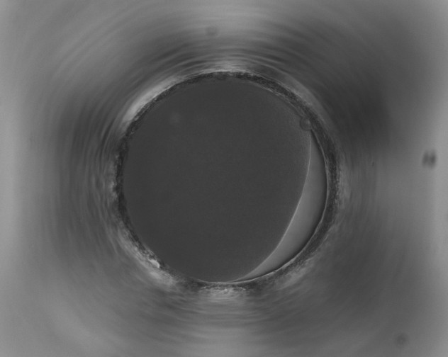 X0000112530826200908311420