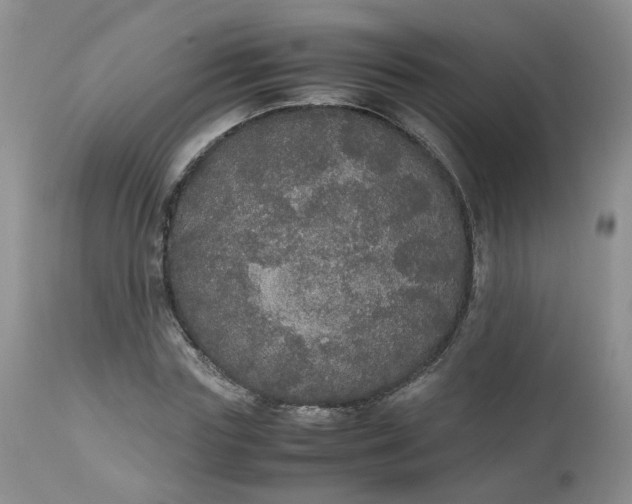 X0000112530827200908311420