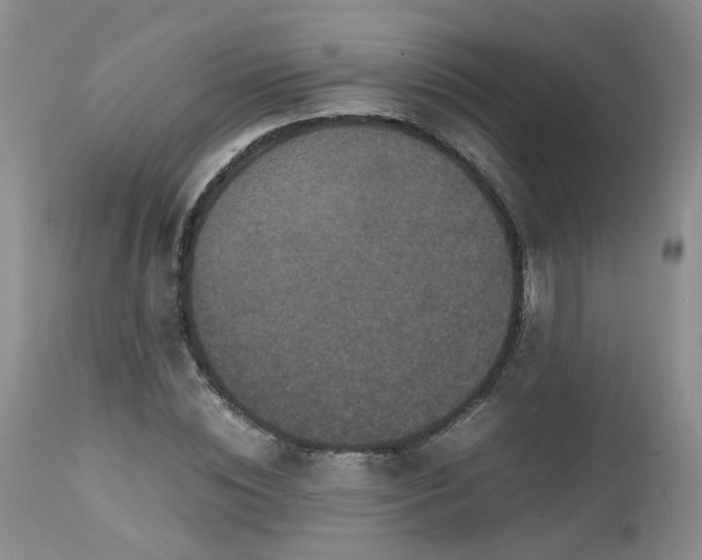 X0000112530828200908311420