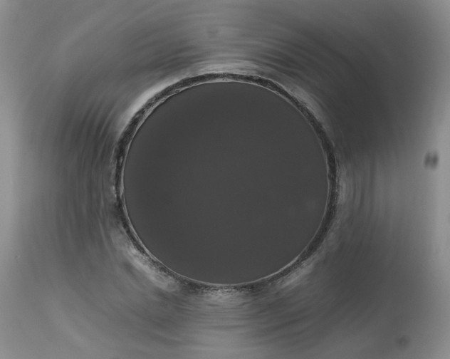 X0000112530830200908311420