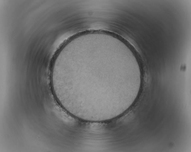 X0000112530832200908311420