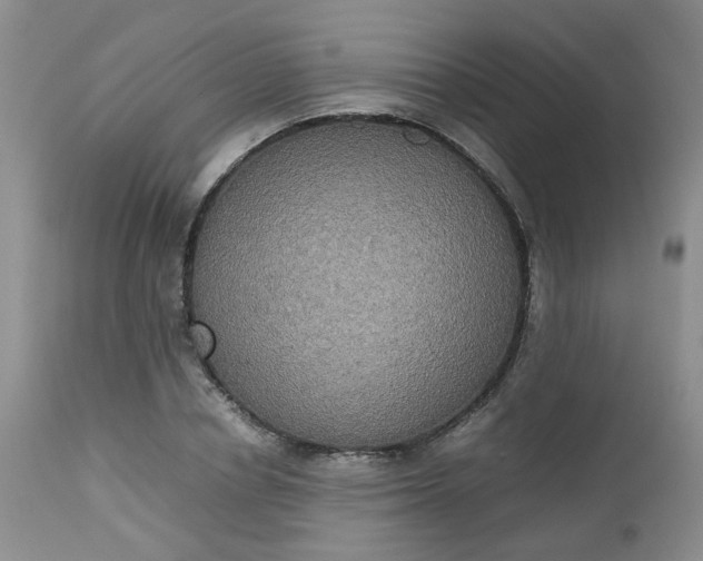 X0000112530834200908311421