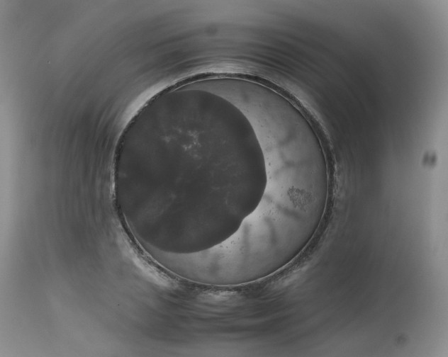 X0000112530837200908311421