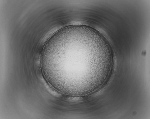 X0000112530841200908311421