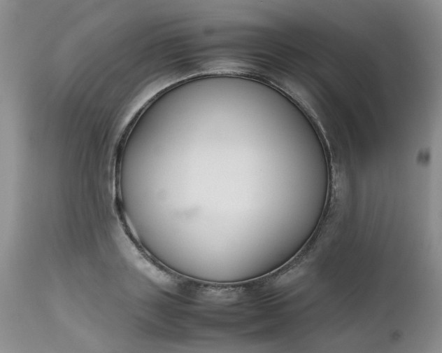 X0000112530843200908311421