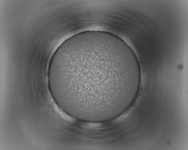 X0000112530845200908311421