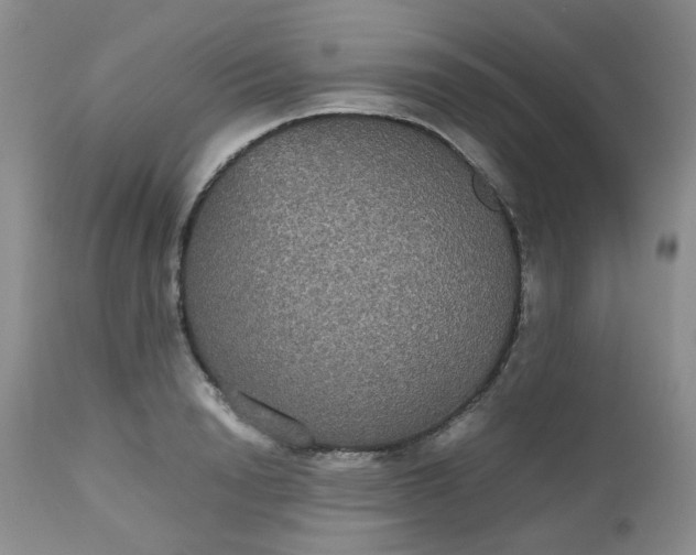 X0000112530846200908311421