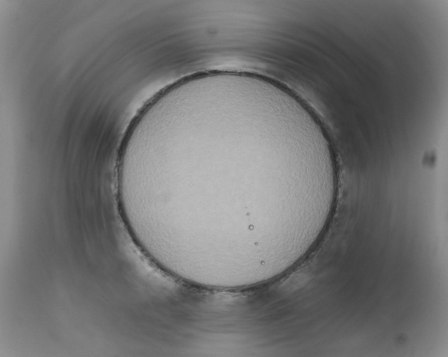 X0000112530848200908311421