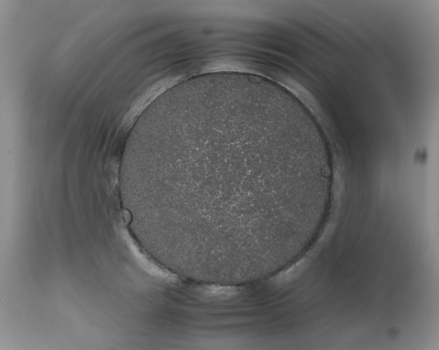 X0000112530849200908311421