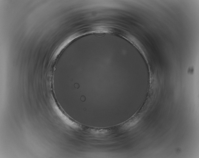 X0000112530851200908311421