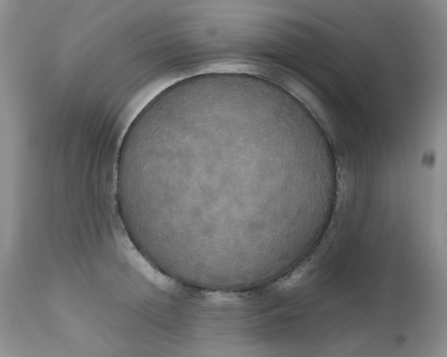 X0000112530852200908311421