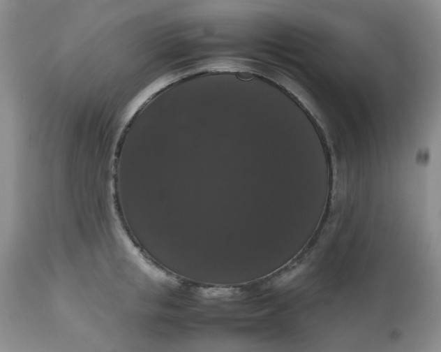 X0000112530853200908311421