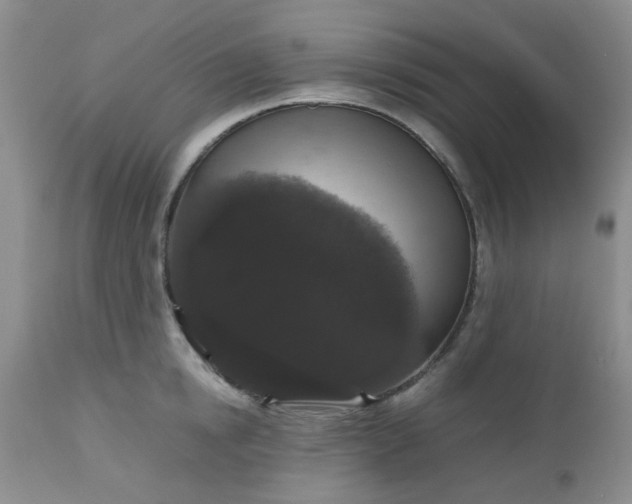 X0000112530854200908311421