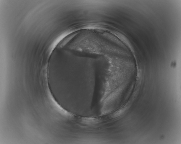 X0000112530855200908311421