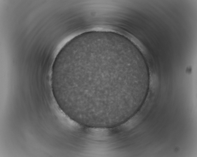 X0000112530856200908311421