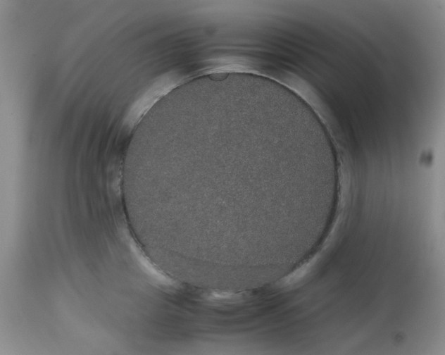 X0000112530857200908311421