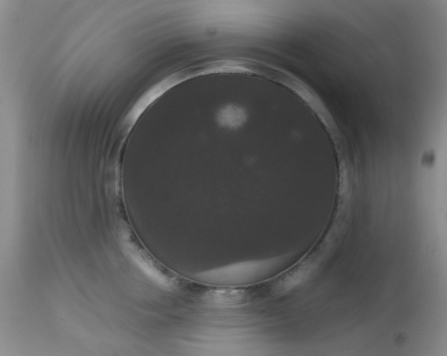 X0000112530858200908311421